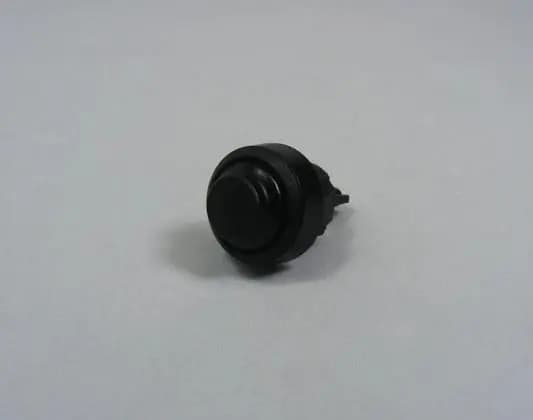 Microswitch Lever NS